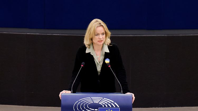 Viola von Cramon sitzt seit 2019 für die grüne Fraktion im Europaparlament.