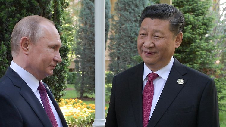 "Es hat sich herausgestellt, dass diese Partnerschaft tatsächlich einige Grenzen hat", sagt Burns über das Verhältnis zwischen Xi und Putin. 