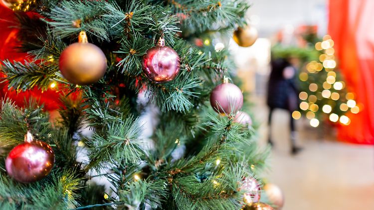 Weihnachtsbaum aus Kunststoff (PVC) in einem Baumarkt: Er kann sich lohnen, wenn er mehrere Jahre lang immer wieder benutzt wird..