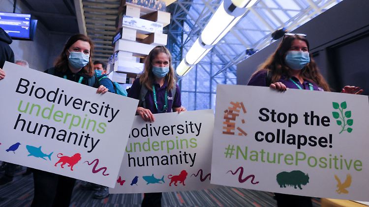Der Weltnaturgipfel wurde von zahlreichen Demonstrationen von Umweltschützern begleitet.