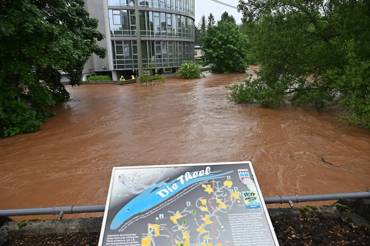 cb36e7709096e4bdea3c0fe058de11dd