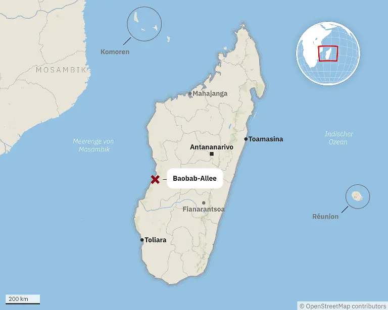 2024-05-17-Baobab-Allee-q5xdU-adj