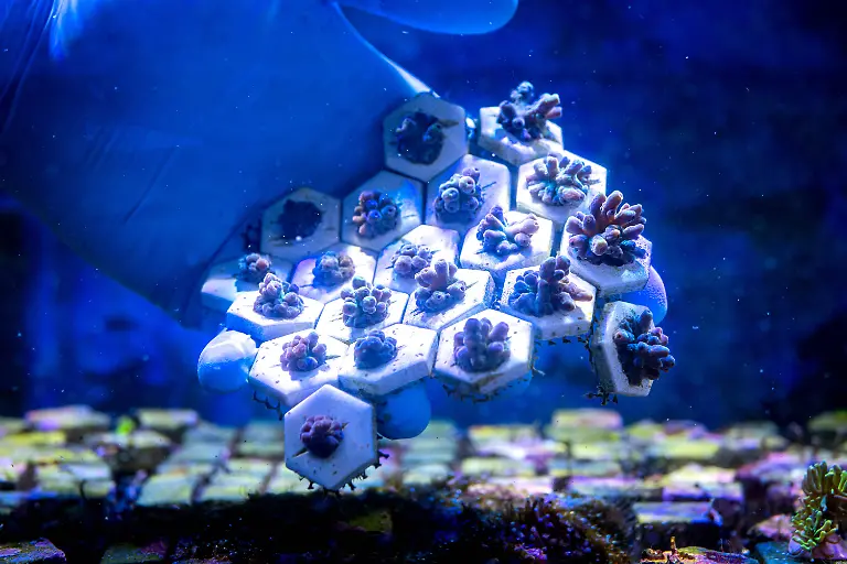 e83735ffd123dc8a5e7b8ede4afa9599