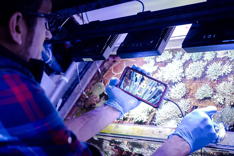 90a37fc5e7bcae676900c4198d8ddfcc