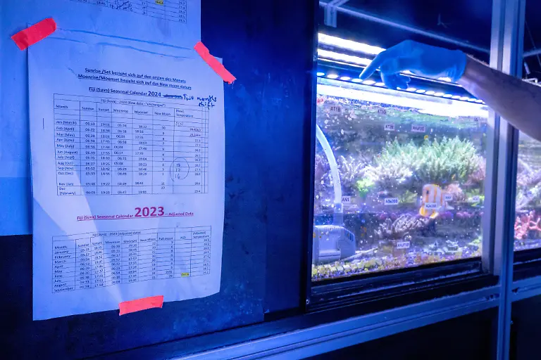 urn-binary-dpa-com-20090101-240517-935-102220-FILED