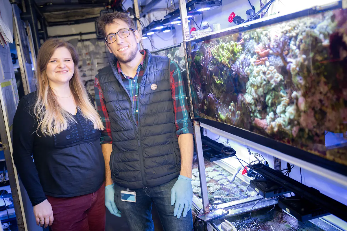 93cc9a33ad9dc3aee3fcd18c9f24103c