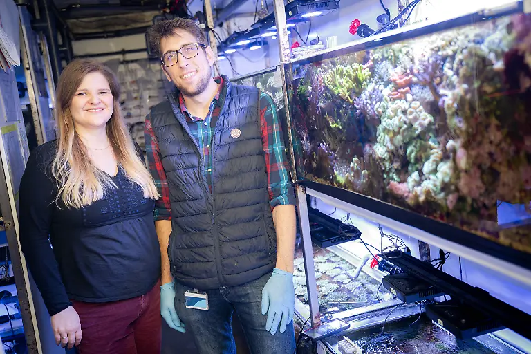 93cc9a33ad9dc3aee3fcd18c9f24103c