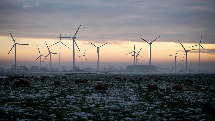 In diesem Jahr sind Genehmigungen für die Installation von Windkraftanlagen an Land im Leistungsvolumen von vier bis fünf Gigawatt (GW) erteilt worden. 