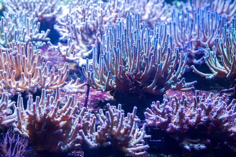 c5f270f6f7d6d253c71603dcd3b75eb0