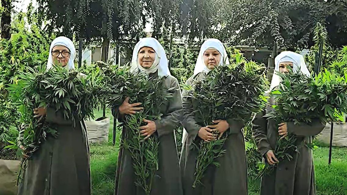 Gras-Nonnen 2.JPG