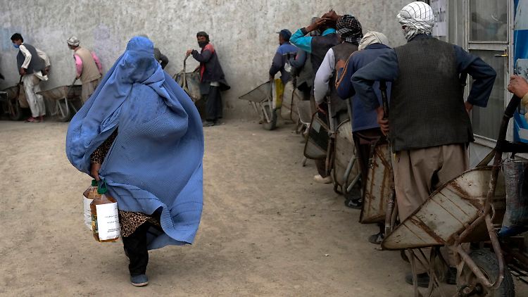 Humanitäre Hilfe ist in Afghanistan überlebenswichtig. Doch weil Frauen nicht mehr arbeiten dürfen, setzen mehrere NGOs ihre Hilfe aus.