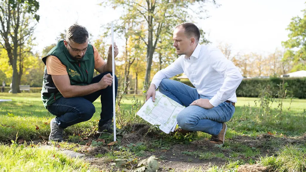Michael-Methner-l-Gartenmeister-und-Claudius-Wecke-Leiter-Bereich-Gaerten-hocken-im-Park-Grosser-Garten-auf-der-Freiflaeche-der-kuenftigen-Baumschule