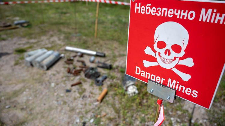 Laut dem Landminen-Monitor hat Russland mindestens sieben verschiedene Arten von Minen in der Ukraine eingesetzt.
