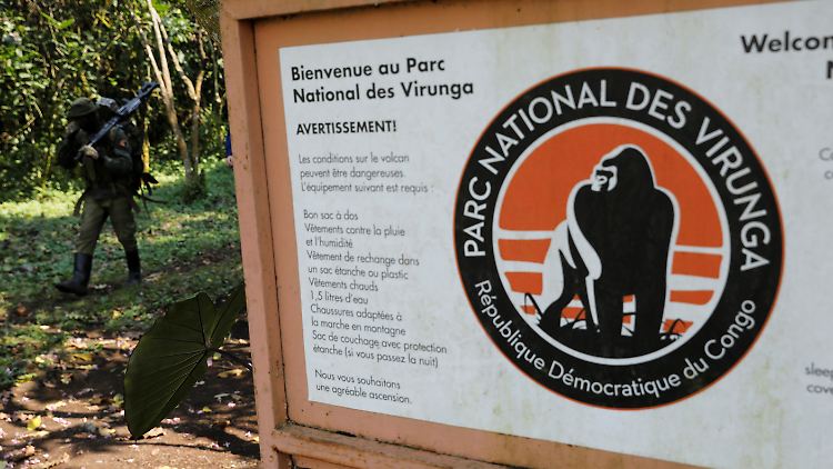 Ein Wildhüter im Nationalpark Virunga nahe der Stadt Goma im Osten des Kongo.