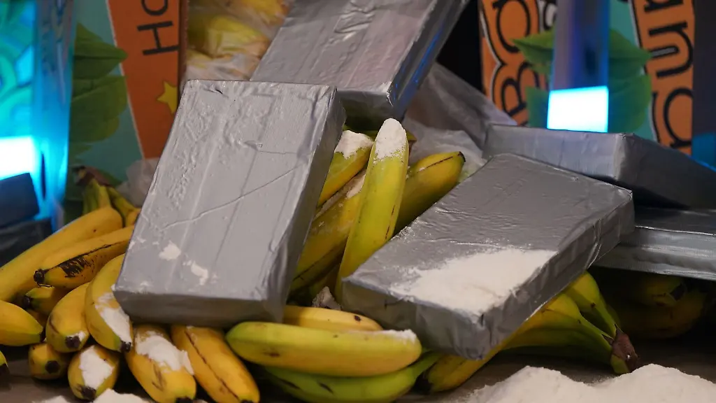 Silber-graue-Pakete-und-weisses-Pulver-das-Kokain-darstellen-soll-liegt-neben-Bananen-und-Bananenkisten-waehrend-der-Vorstellung-der-Awareness-Kampagne-fuer-Hafenbeschaeftigte-im-Kampf-gegen-internationale-Drogenkriminalitaet