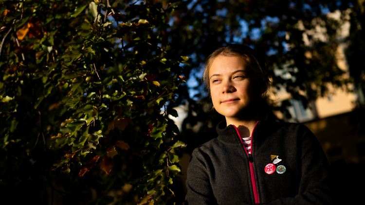 Die 19-jährige Greta gilt als Galionsfigur der Klima-Aktivistengruppe Fridays for Future.