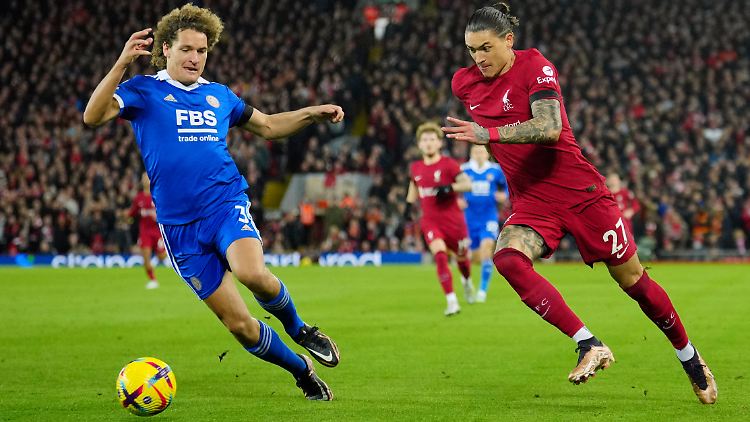 Wout Faes (l.) erwischte gegen Liverpool einen schwarzen Tag.