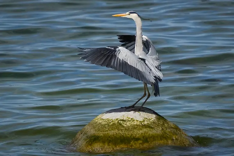 2cc774d0330274750a9c388a5fa6d4a7