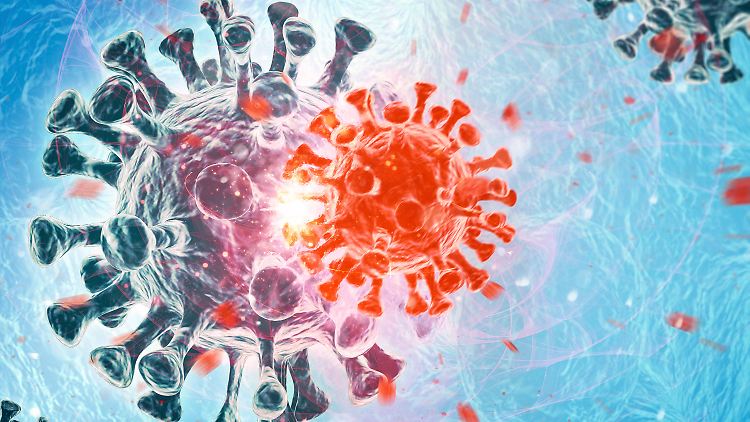 Bisher wurde zur Coronavirus-Variante XBB.1.5 nichts vom Robert-Koch-Institut gemeldet.  