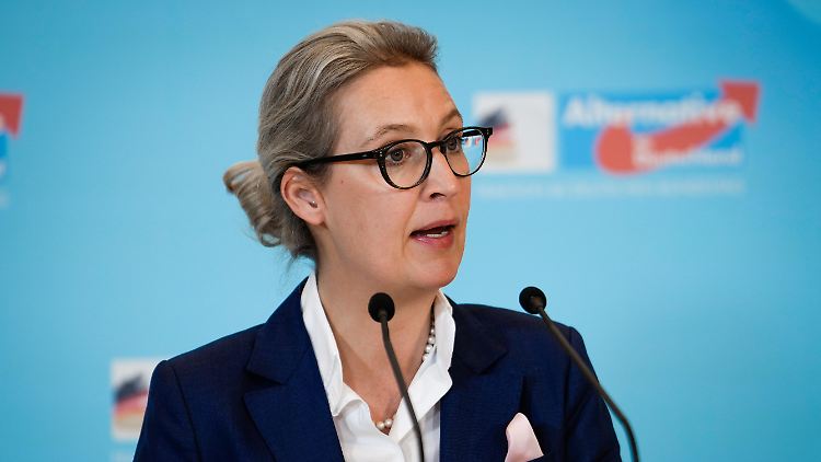 Zum zehnjährigen Bestehen der AfD soll es laut Weidel eine "kleine Jubiläumsfeier" geben.