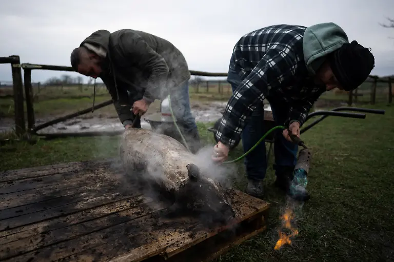 Laszlo-Kemencei-and-Krisztian-Kisjuhasz2