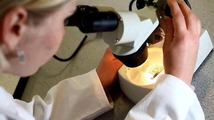 Derzeit müssen Frauen wochenlang auf eine Krebsdiagnose warten, weil das Gewebe im Labor untersucht werden muss. 
