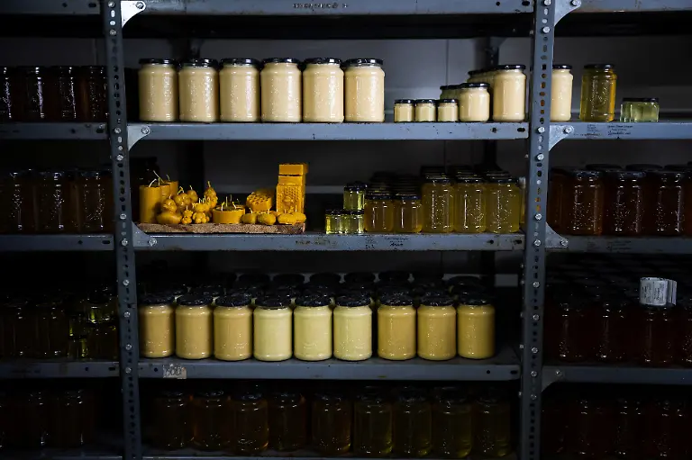 2024-05-02T080114Z-1777265277-RC2ZG6A3ZZDR-RTRMADP-3-HUNGARY-ENVIRONMENT-FAMILIES