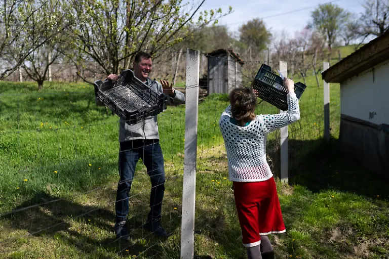 Akos-Varga-hands-empty-crates-to-Emo-Ambrus