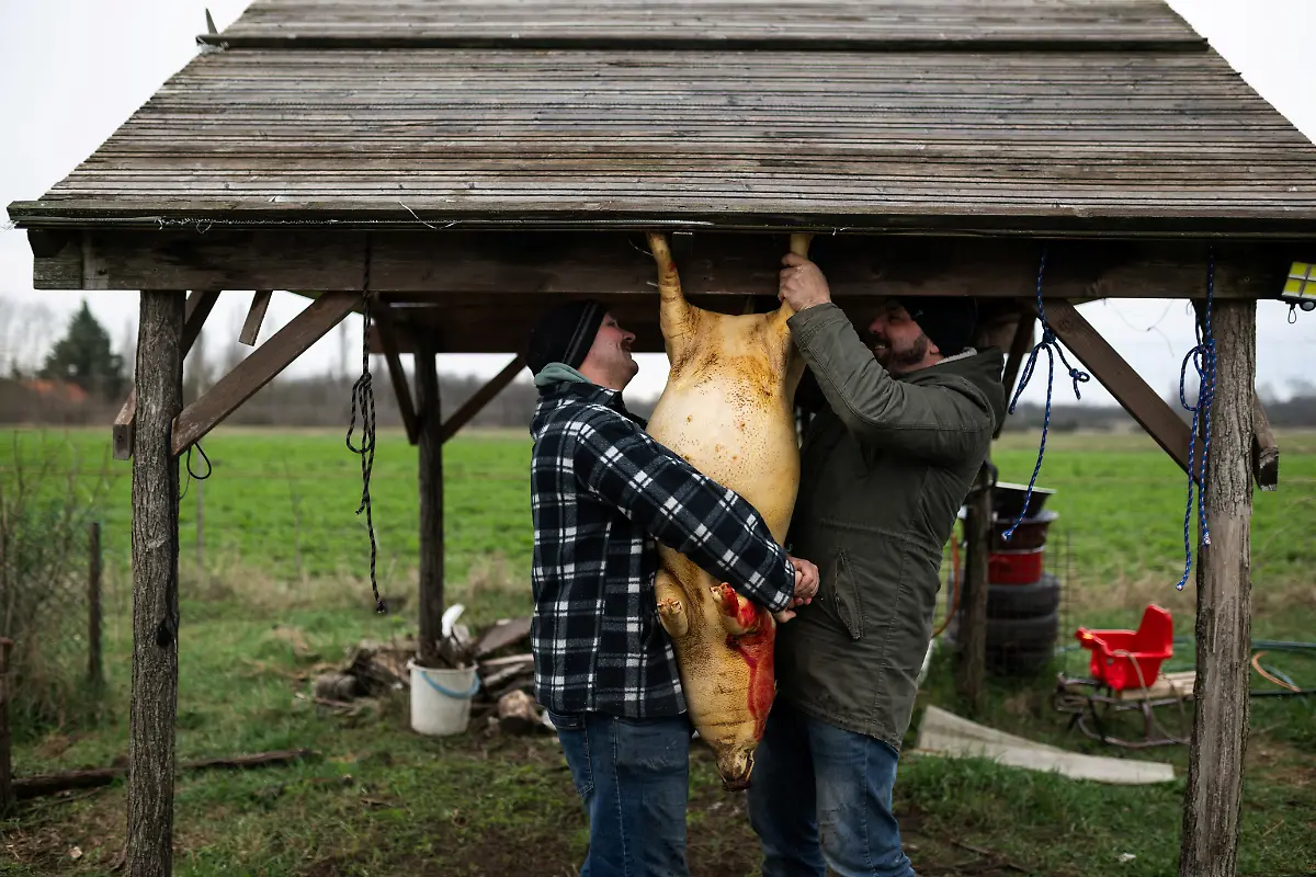 Laszlo-Kemencei-and-Krisztian-Kisjuhasz3