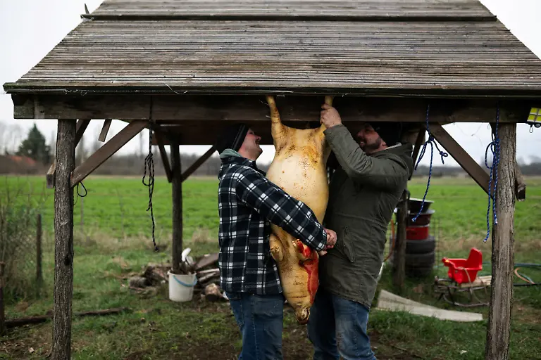 Laszlo-Kemencei-and-Krisztian-Kisjuhasz3