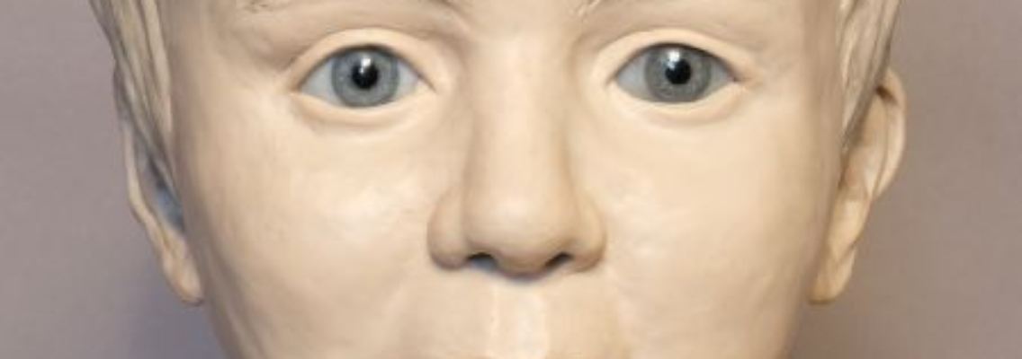 Kopf_Frontal.jpg