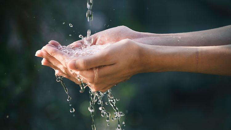 Wasser sparen mit einfachen Tipps und Tricks.