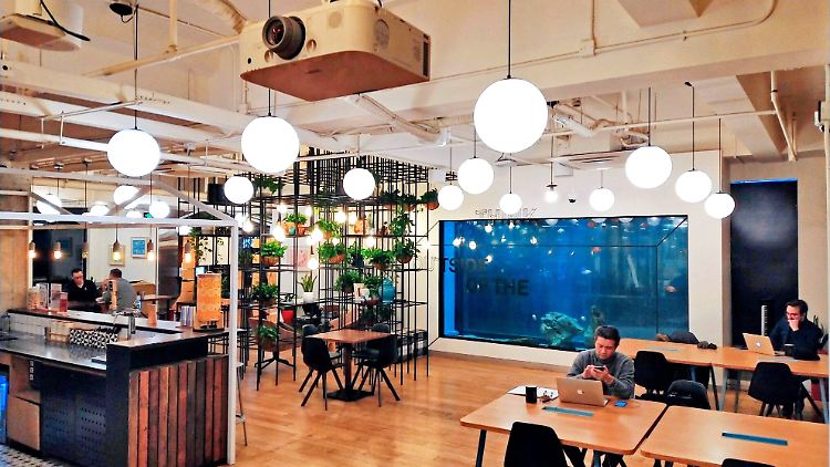 Ein Coworking-Space von Wework in Shanghai: "Unsere Mitglieder verlangen einen Standard - egal, ob sie in Singapur, New York oder Berlin arbeiten wollen", sagt die Wework-Managerin Katharina von Schacky.