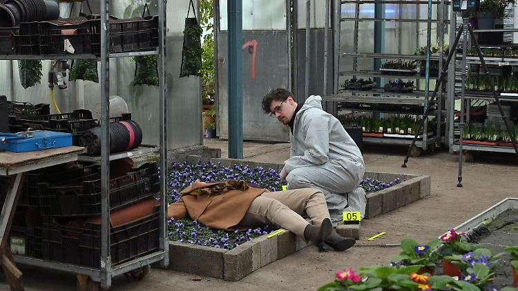 Eine Leiche im Blumenbeet hat man auch nicht alle Tage.