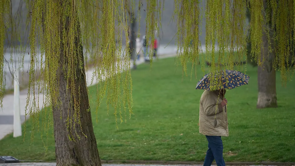 Ein-Mann-spaziert-bei-Regen-durch-die-Koblenzer-Rheinanlagen