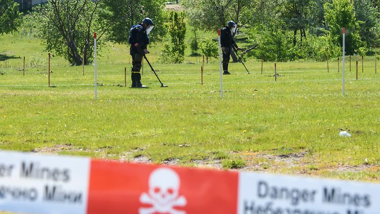 Mitglieder der speziellen Entminungseinheit der Ukraine auf der Suche nach Landminen. 