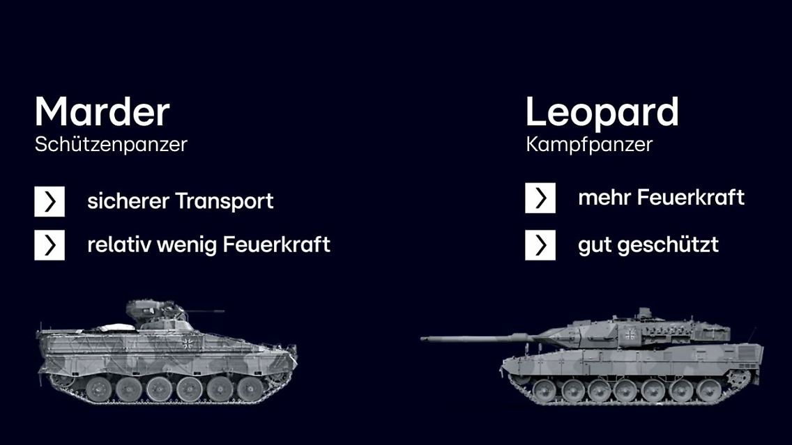 MarderLeopard.JPG
