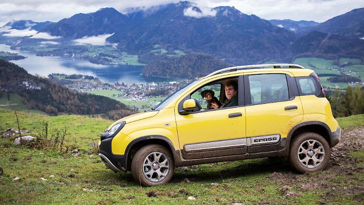 Mit dem kleinen Fiat in die Berge? Nur zu, immerhin sind gebrauchte Modelle wie etwa der Fiat Panda Cross auch mit Allradantrieb zu haben.