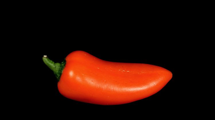 "Glücklich gereifter" Paprika bleibt gesund.