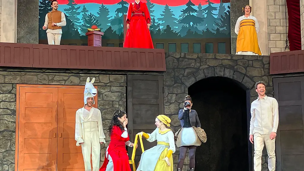 Das-Ensemble-der-Brueder-Grimm-Festspiele-fuehrt-das-Musical-Die-Gaensemagd-auf