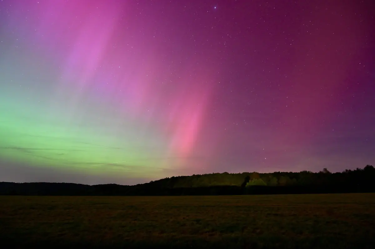 0115ed6b453498b29a61c7ecda5ca0fb