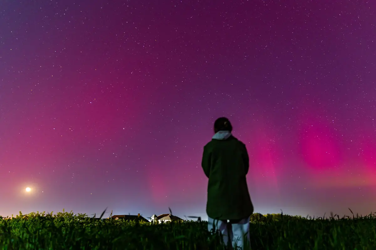 800f69a1f914d86170bb144dd8bce1d3