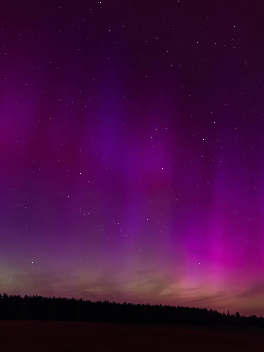 721aa20a6f9be90da0bda2d66d23c955