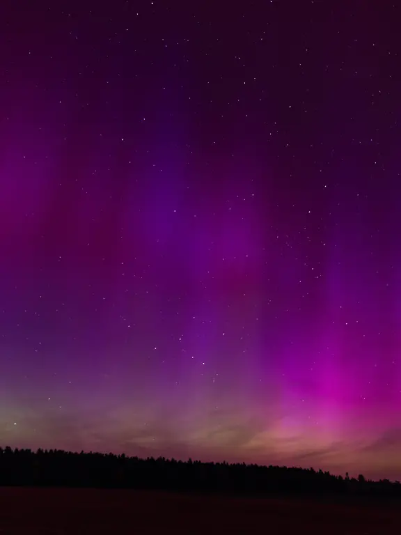 721aa20a6f9be90da0bda2d66d23c955