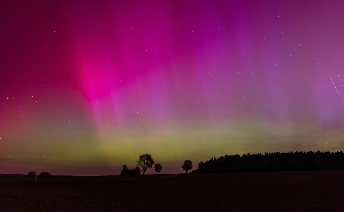 e61a6223cd3964e4e69e950e48c8ec81