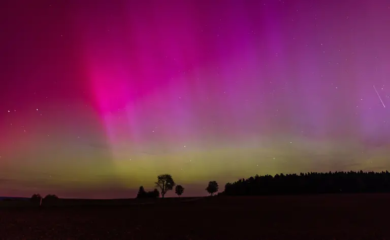 e61a6223cd3964e4e69e950e48c8ec81