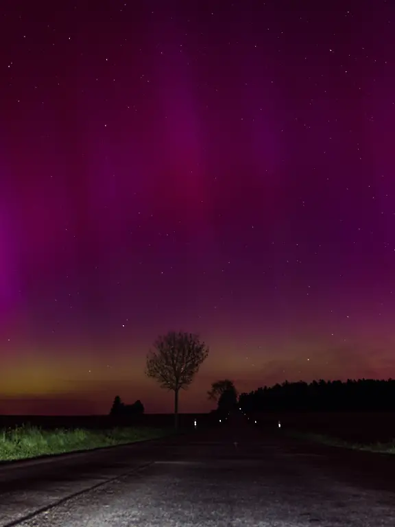 19e7bd90b84efefe2122a9fd81e6e28e