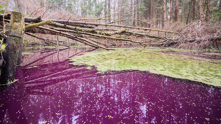 Baden sollte man darin nicht: ein Teich in der Gemeinde Sibbesse.