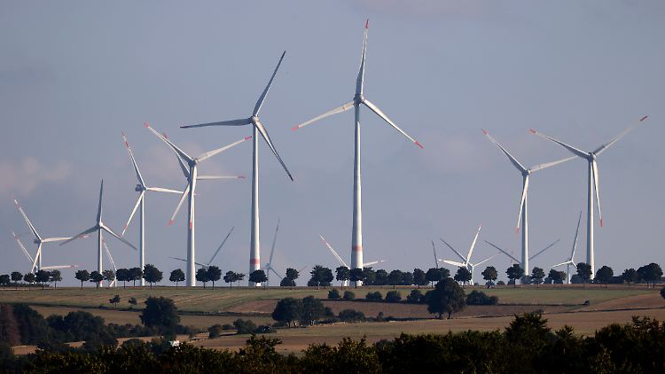 CO2-Neutralität ist das mit Abstand am häufigsten genannte Nachhaltigkeitsziel.