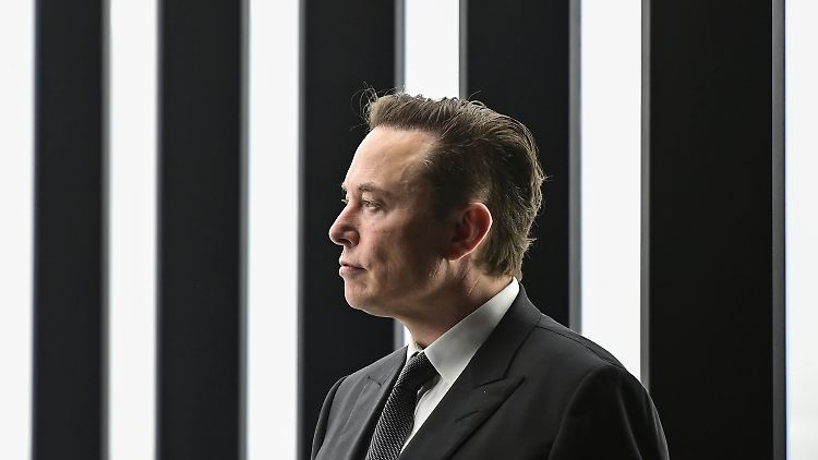 "Die Autos sind schön, aber Mr. Musk ist ein Idiot": Bei den Geschworenen ist Musk nicht wohlgelitten.